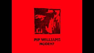 Pip Williams - ASBO Youth