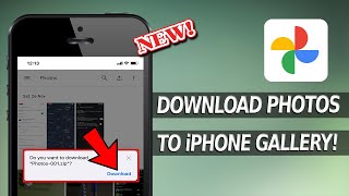 How to Download Google Photos to Camera Roll on iPhone?