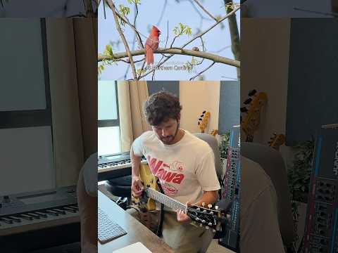 Turning Bird Calls Into Breakdowns (Part 1)