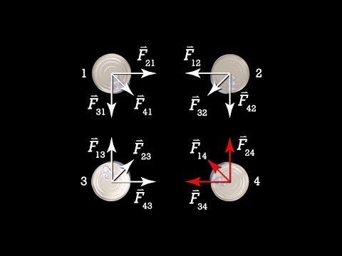 Newton's Universal Law of Gravitation Introduction (The Big G Equation)