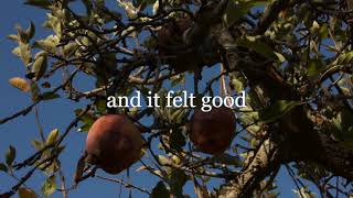 Spiteful Intervention LYRICS by of Montreal