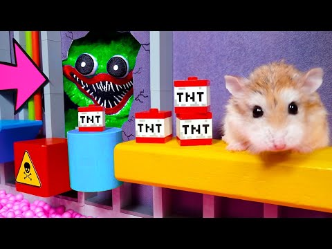 MAJOR HAMSTER spooky STORIES 🎃 ZOMBIES, MONSTERS & MUMMIES