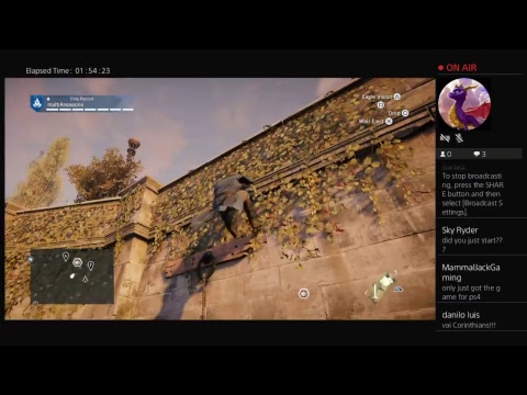 Assassins creed unity