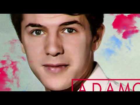 Adamo / Ses plus grands succès de 1963 à 1967