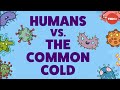 Why Is It So Hard To Cure The Common Cold