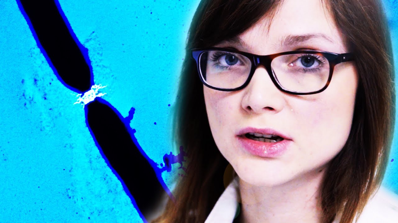 Fighting Cancer - Microbiologists #5