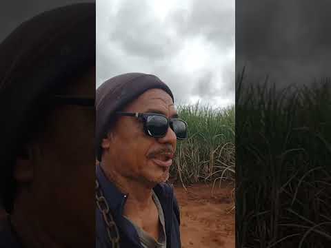 TV CHINA PROMISSÃO INTERIOR DE SP.