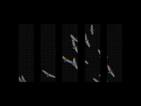 Karlvili - Tavis Ufleba