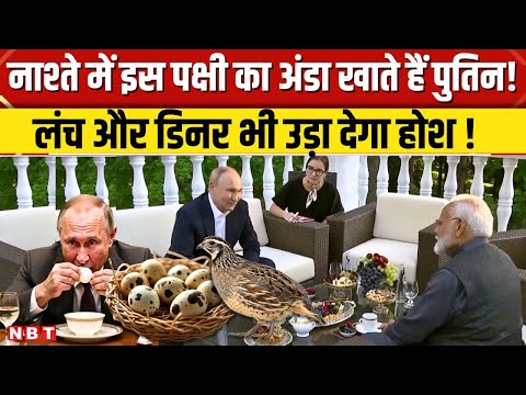 Putin India Visit: 74 साल के पुतिन का फास्ट, लंच डिनर करेगा हैरान, विदेश का पानी तक नहीं पीते । NBT