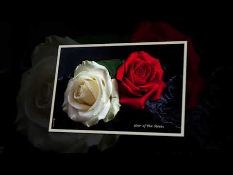 Vội chi những tàn phai - Nam Vĩnh