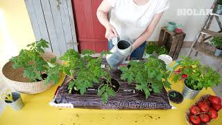 Biolan Growing bag