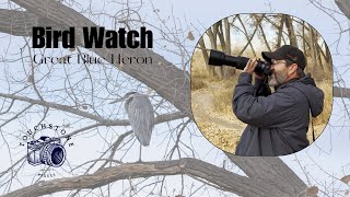 Incredible Bald Eagle Encounter During Wildlife Photography