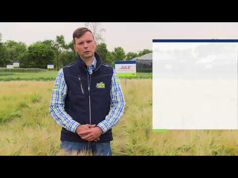 Saaten-Union: Winterfuttergerste JULE, Vertriebsberater Carsten Knobbe, Standort Böhnshausen