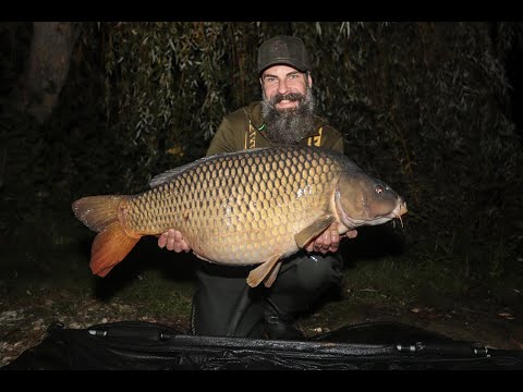 Karpfenangeln im Herbst mit Daniel Brünkmans | Top Tipps