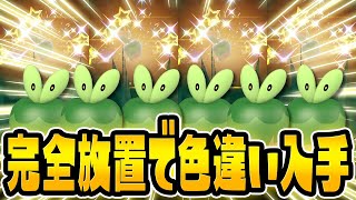 【革命】ついに完全放置でレアな色違いがGETできる時代が来ました！【ポケットモンスター スカーレット・バイオレット/SV】色違いカジッチュ