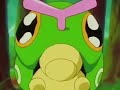 Me Being Afraid Of Bugs Like Misty From The Anime Owo