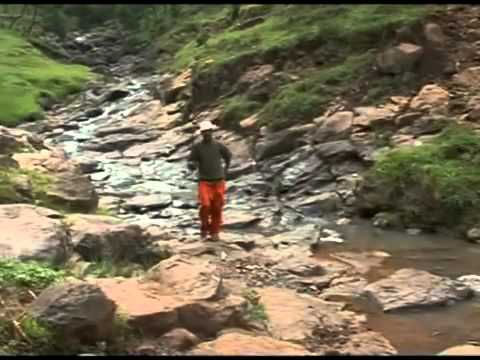 Asaffaa Tashoomaa   Yaa'ee Garyyaa'e (Oromo Music)