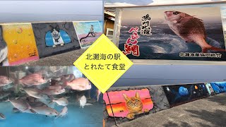 北灘漁協直送 とれたて食堂 とても美味しい食堂。