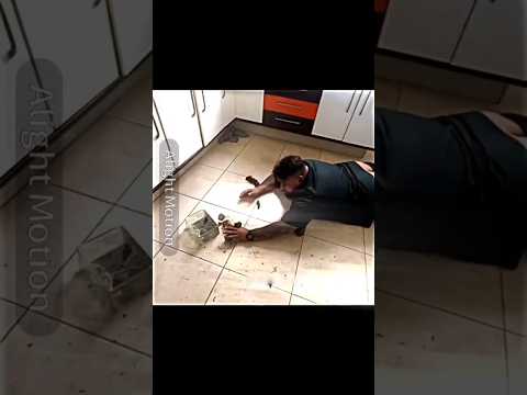 boto derrubou a boneca amaldiçoada #renatogarcia #shorts