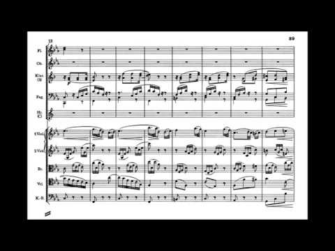 Johannes Brahms - Symphony no.3, op.90 (complete)