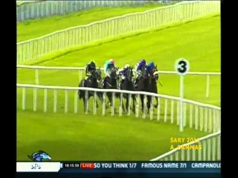 So You Think - Tattersalls Gold Cup 2011 G1