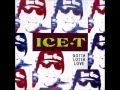 Ice T - Gotta Lotta Love(Tubular Bells Remix)