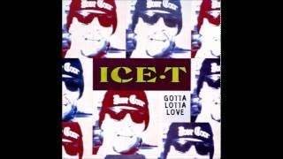 Ice T - Gotta Lotta Love(Tubular Bells Remix)