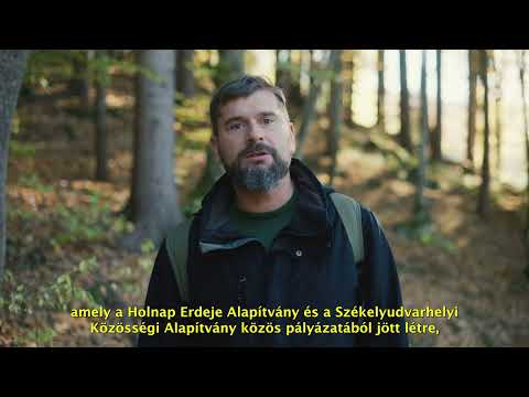 Erdei Iskola – 2024