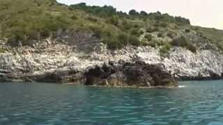 Cry me a river, laugh me a sea by searching my message in a bottle