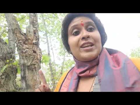 Greatest about Periyalwar (2) paasurams and Tirumangai Alwar ( 10 paasurams) mangalasasanam.