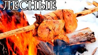БУШКРАФТ КУХНЯ | Уникальный лесной вертел для мяса, рыбы, птицы - Bushcraft Cooking