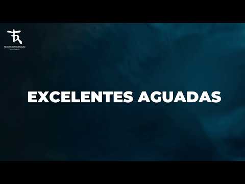 EN VENTA - CAMPO GANADERO  100 % mejorable. 📍 CERRO LARGO - URUGUAY