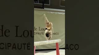 Download lagu Woow!!! Kemampuan wanita ini di atas rata-rata 😱😱😱 #tante #gemoy #youtube mp3 Download lagu Woow!!! Kemampuan wanita ini di atas rata-rata 😱😱😱 #tante #gemoy #youtube mp3