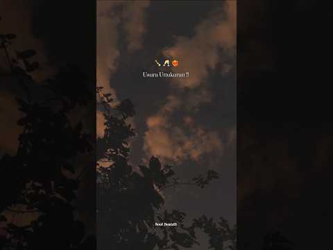 Mention 😂❤️Sanki monkey❤️love song❤️WhatsApp status#shorts#trending#love#fyp#lovely#fy#soulbeatz13#