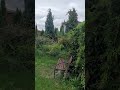 Niezwykla dzialka rod w super lokalizacji. - 1