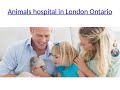 Animal Hospital offers that provide wide range of services to dogs and cats