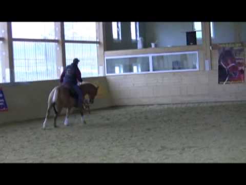 He is a Royal Melody