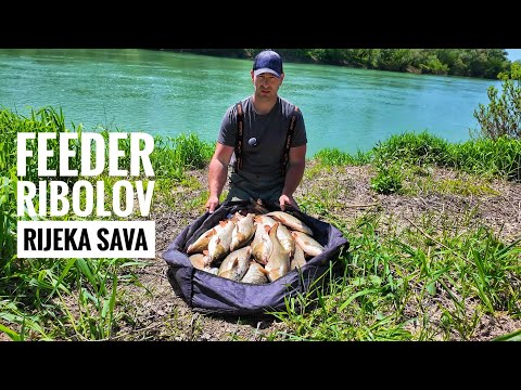 FEEDEROM NA RIJECI SAVI pecanje mrene i plotice feeder tehnikom Amir Taletovic