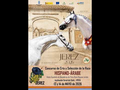 Concurso de Cría y Selección Raza Hispano-Árabe — 13 mayo 2026