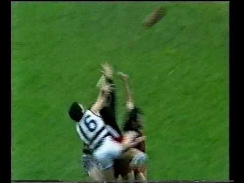 VFL R22 1981 - Essendon v Geelong