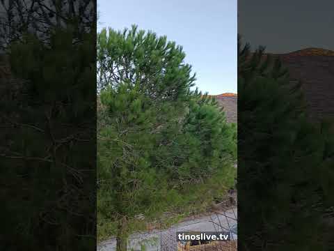 Τελευταίο βίντεο