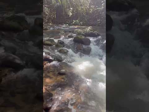 Cacheira do Pai João, Casimiro de Abreu, RJ #vida #viagem #paisagemnatural #travel