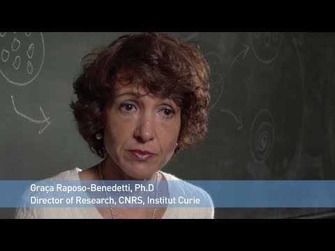 Curiosity and a Passion for Science (Episode 4)