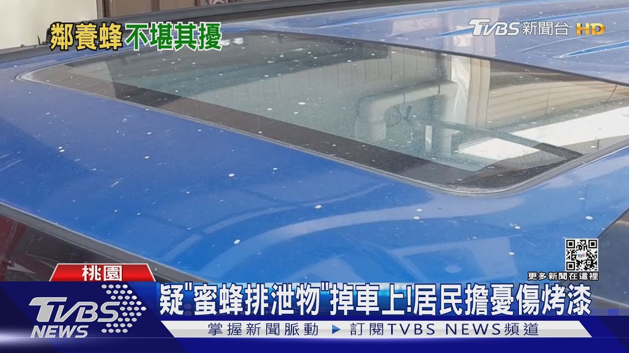 民宅養蜂惹怨? 屋主澄清:空箱引蜂築巢