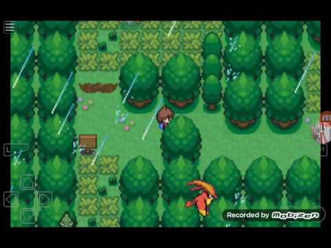 CONFUNDIDO EN EL BOSQUE | POKEMON ISLAS DORADAS | N°6