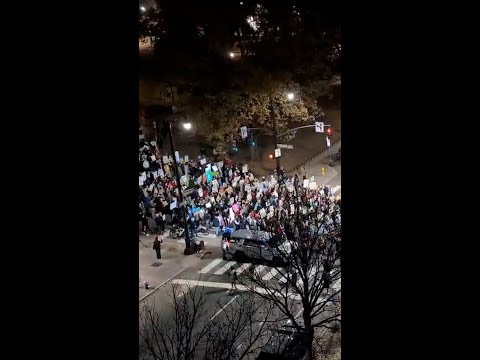 Raleigh Protests Surge Against ICE