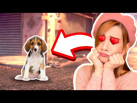 HO SALVATO UN CAGNOLINO DALLA STRADA! - Animal Shelter