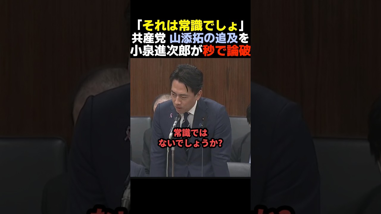 【覚醒】山添拓を秒で論破する小泉進次郎【自民党/高市早苗】