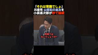 【覚醒】山添拓を秒で論破する小泉進次郎【自民党/高市早苗】