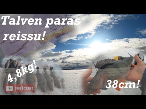 Kala-Ale Pilkillä 4.3 K1/J12